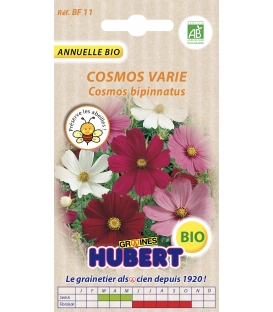 Graines de Cosmos Sensation Varié BIO - © Image protégée téléchargement interdit !