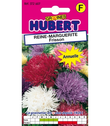 Reine-Marguerite Frisson