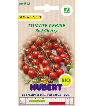 Graines BIO de Tomate Cerise Red Cherry 