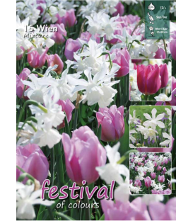 15 Bulbes de Tulipes et Narcisses en Mélange "WIEN"