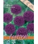 5 Bulbes d'Ail d'ornement - Allium Purple Sensation