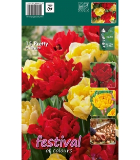 15 Bulbes de Tulipes Doubles Mélange Jaune & Rouge "Pretty"