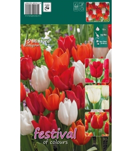 15 Bulbes de Tulipes en Mélange "Glasgow"