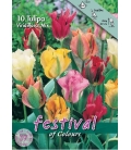 10 Bulbes de Tulipes Viridiflora Variées