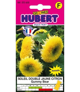 Graines de Soleil Double Jaune Citron Gummy Bear