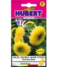 Graines de Soleil Double Jaune Citron Gummy Bear