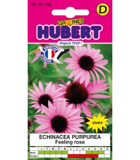 Echinacea Purpurea Feeling Pink - 1 gramme