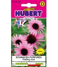 Echinacea Purpurea Feeling Pink - 0,6 gramme