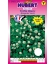 Graines de Trèfle blanc - 200 g