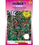 Graines de Trèfle Incarnat - 300 g