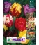 20 Bulbes de Tulipes Perroquet en Mélange