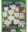 25 Bulbes de Crocus à Grande Fleur Blanc