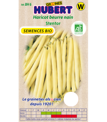 Haricot Nain STENTOR BIO