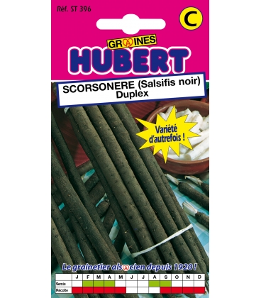 Scorson&egrave;re (Salsifis Noir) Duplex