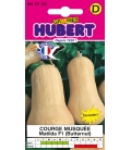 Graines de Courge Musquée Matilda F1 Butternut