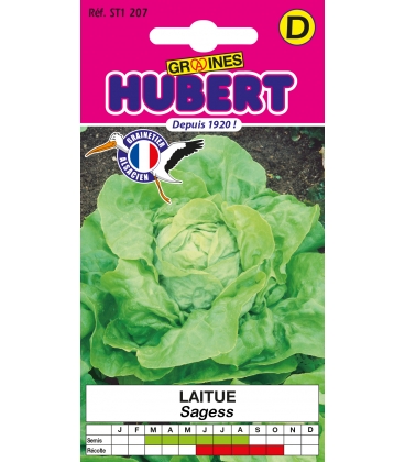 Laitue Pomm&eacute;e Sagess