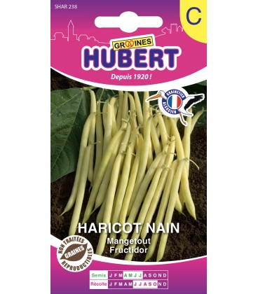 Haricot Fructidor Nain 50 Graines