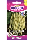 Graines de Haricot Nain Fructidor