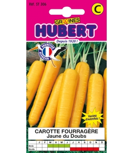 Carotte Fourragère Jaune Obtuse du Doubs