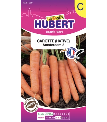 Carotte Amsterdam 3 H&acirc;tive