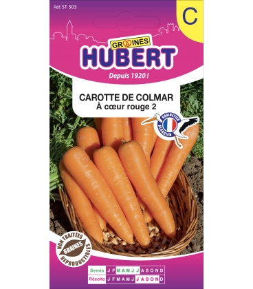 Carotte de Colmar &agrave; Coeur rouge 2