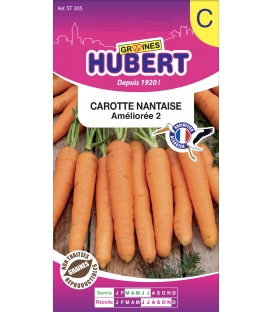 Carotte Nantaise Améliorée 3 (1/2 longue)