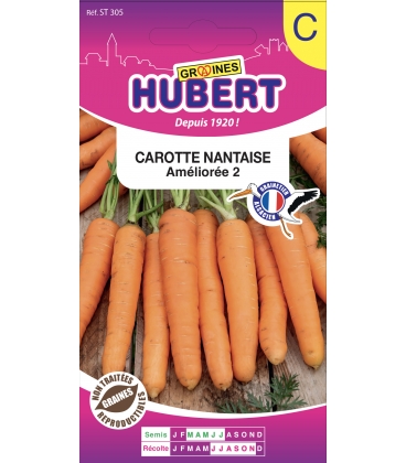 Carotte Nantaise Am&eacute;lior&eacute;e 3 (1/2 longue)