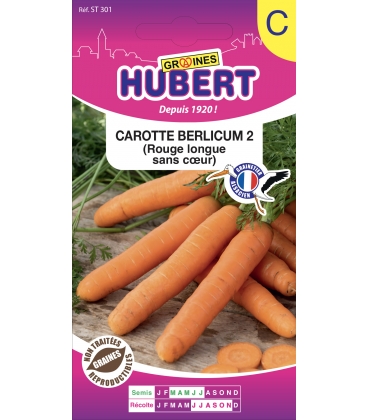 Carotte Berlicum
