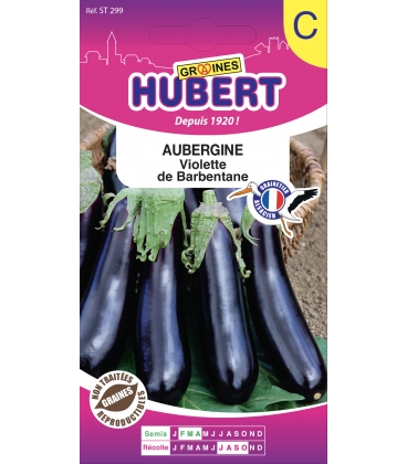 Aubergine Violette de Barbentane