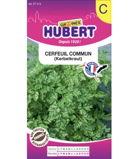 Cerfeuil Commun Simple