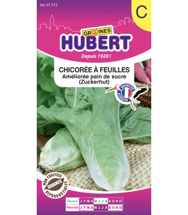 Chicor&eacute;e Pain de Sucre "Zuckerhut"