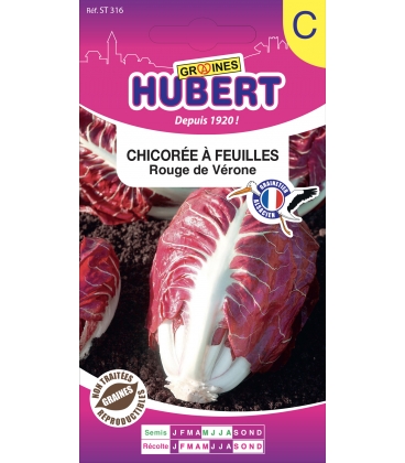 Chicor&eacute;e Rouge de V&eacute;rone