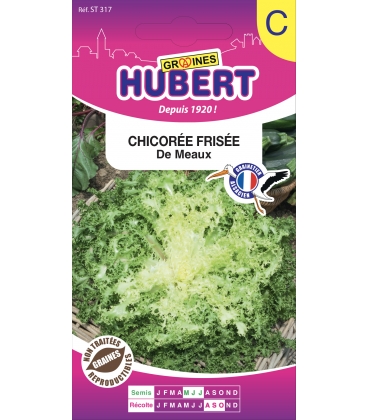 Chicor&eacute;e de Meaux