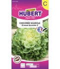 Chicorée Frisée de Ruffec