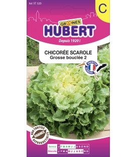 Graines de Chicor&eacute;e Scarole Grosse Boucl&eacute;e 2 Bubikopf