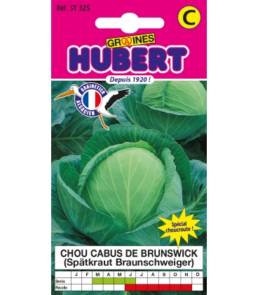 Chou Cabus Brunswick