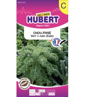 Chou-Frisé Vert - ou chou Kale (Grünkohl)