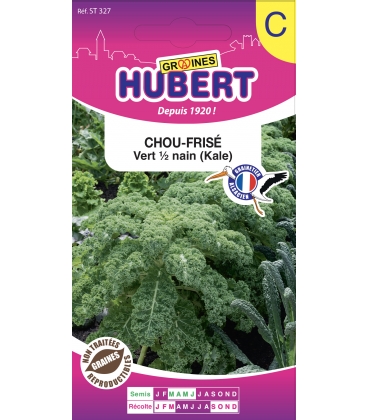 Chou-Fris&eacute; Vert - ou chou Kale (Gr&uuml;nkohl)