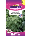 Chou-Frisé Vert - ou chou Kale (Grünkohl)