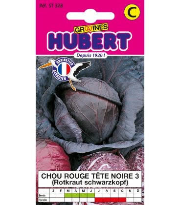 Chou Rouge T&ecirc;te Noire