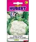 Chou-fleur Erfurt