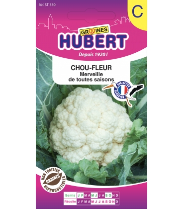 Chou-Fleur Merveille de Toutes Saisons
