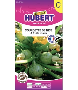 Courgette Ronde de Nice