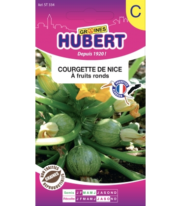 Courgette Ronde de Nice