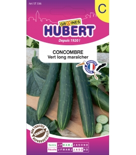 Concombre Vert Long Maraîcher
