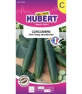 Concombre Vert Long Maraicher