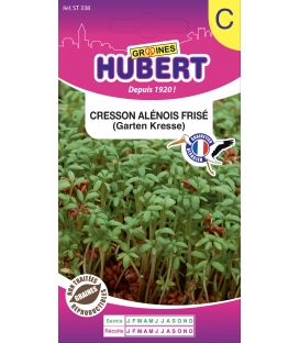 Cresson Alénois Frisé