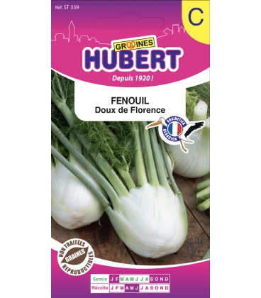 Fenouil Doux de Florence