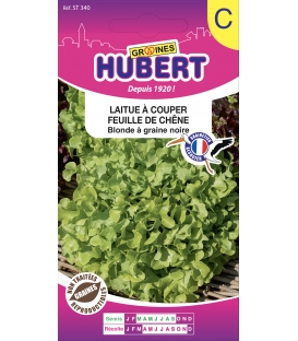Laitue à Couper Feuille de Chêne Blonde