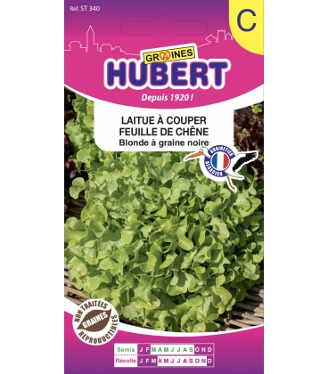 Laitue &agrave; Couper Feuille de Ch&ecirc;ne Blonde